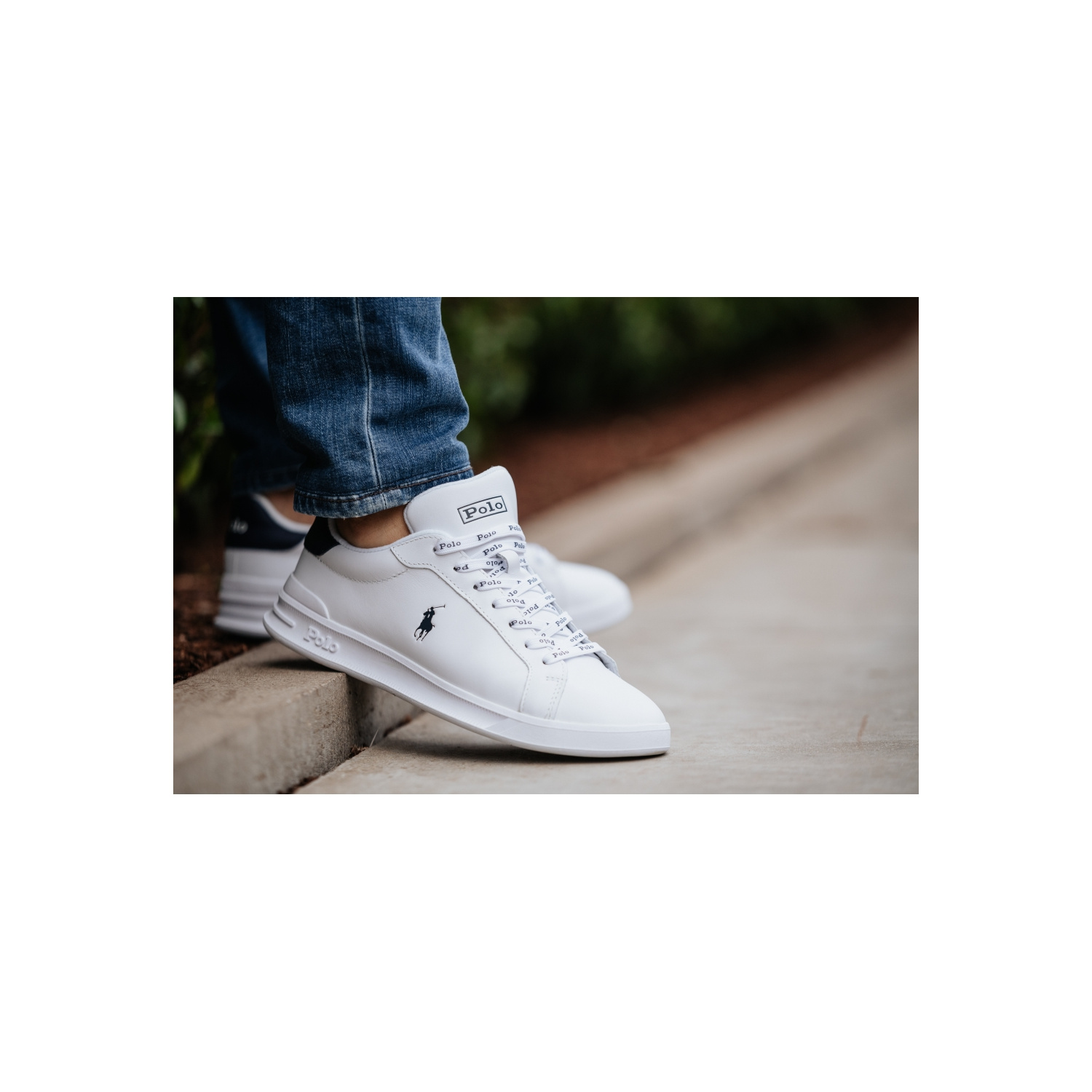 Polo Ralph Lauren Low sneaker white - Low sneakers - Shoes - Men 